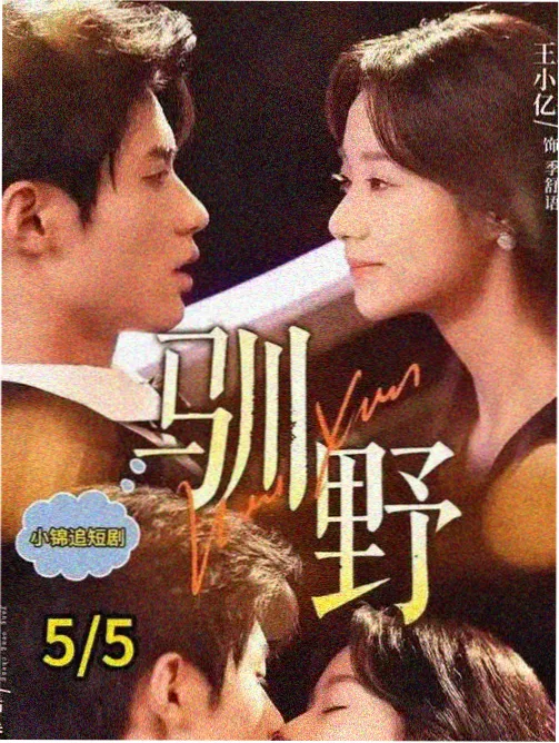 天美MV在线看免费观看电视剧全集高清 水浒传